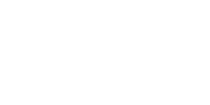 Logo Ansa