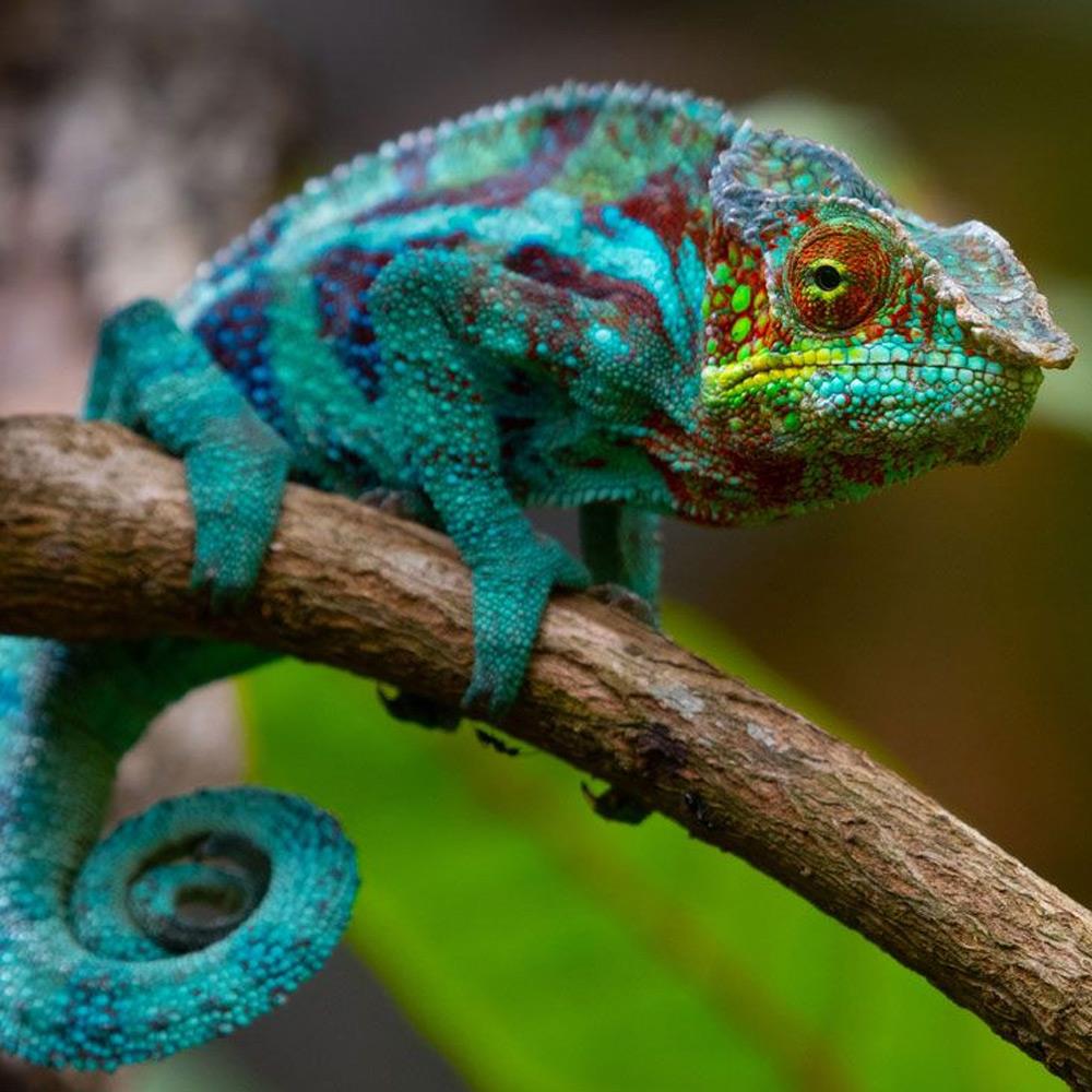 Restyling del sito web: perché ormai è fondamentale mettere il cliente al centro?