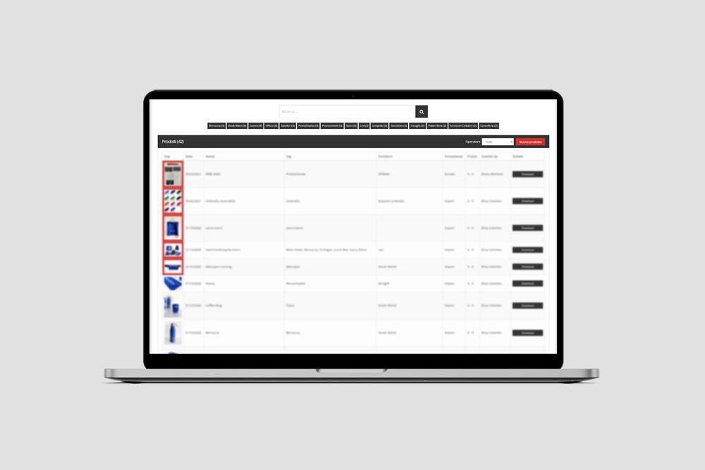 Gestionale progetti e brief Promoline